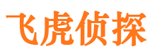 纳溪市婚外情调查